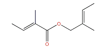 (E)-2-Methyl-2-butenyl tiglate